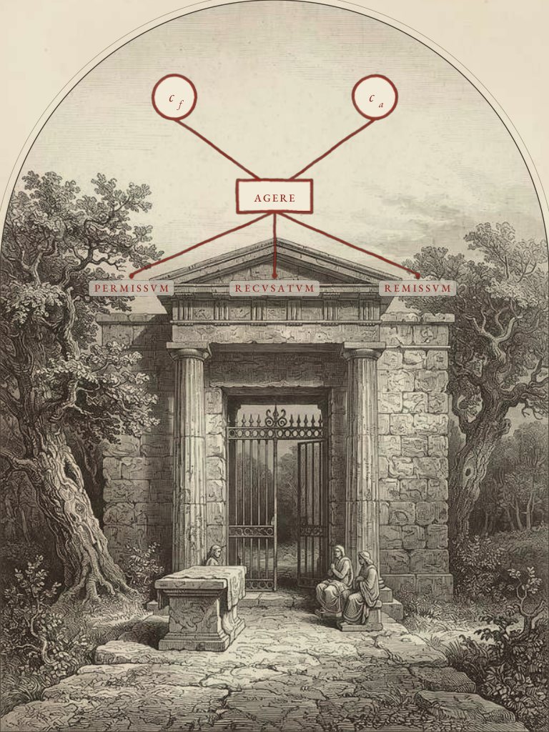 Liber V